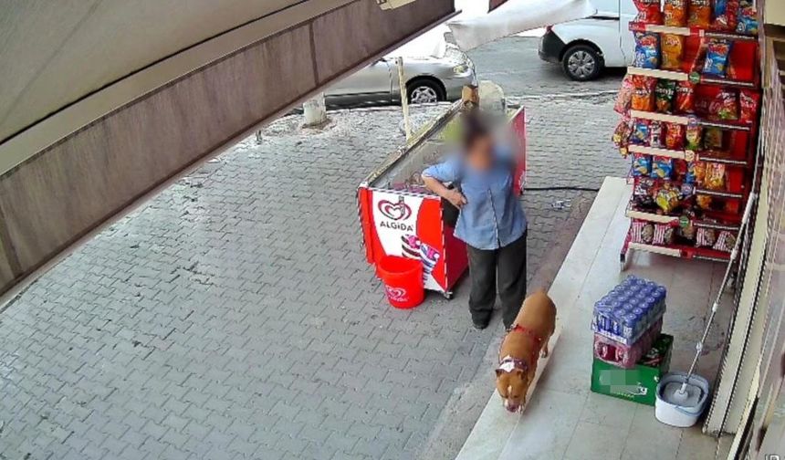 Pitbull saldırısında, 5 çocuk annesi kadının parmağı koptu