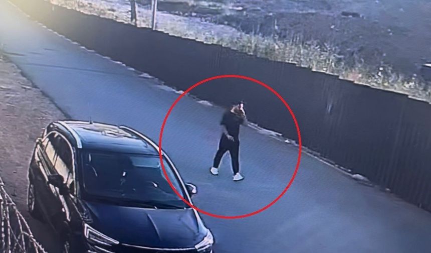 250 saatlik kamera kaydı izlediler, inşaat farelerini böyle çözdüler