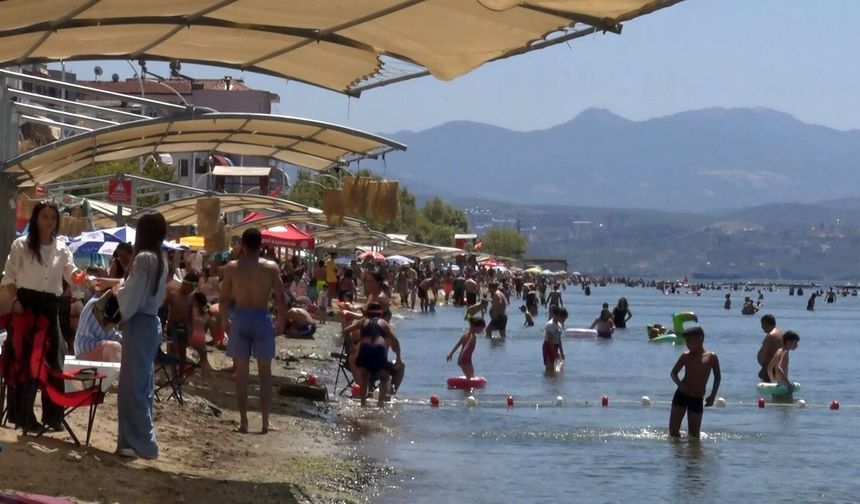Deniz sezonunun bitmesine yakın Bursa'nın sahillerinden sevindiren haber