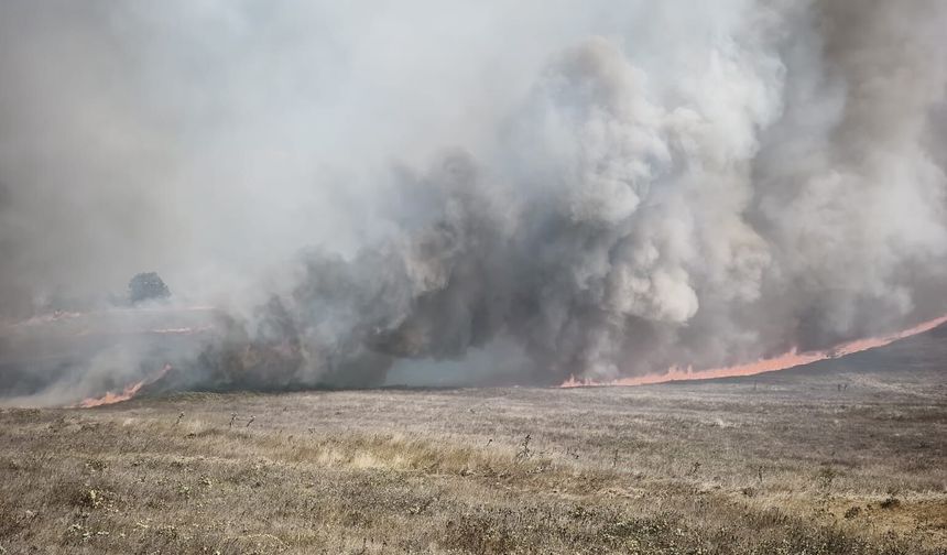 Bursa'da orman yangını...Tarım alanında başladı ormana sıçradı