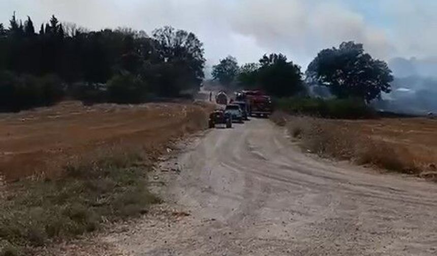 Arazide çıkan yangın, ekiplerin hızlı müdahalesiyle söndürüldü
