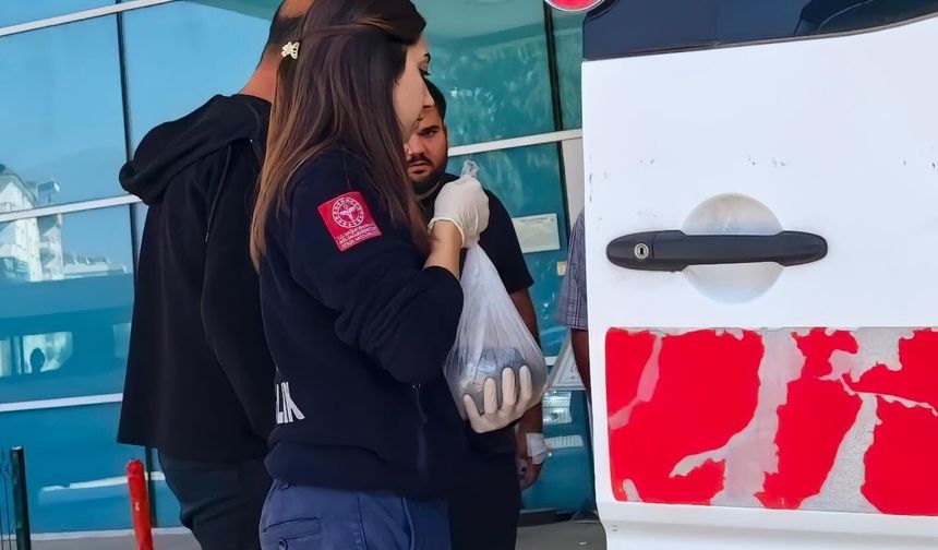 Kopan parmağını buz torbasıyla taşıdılar