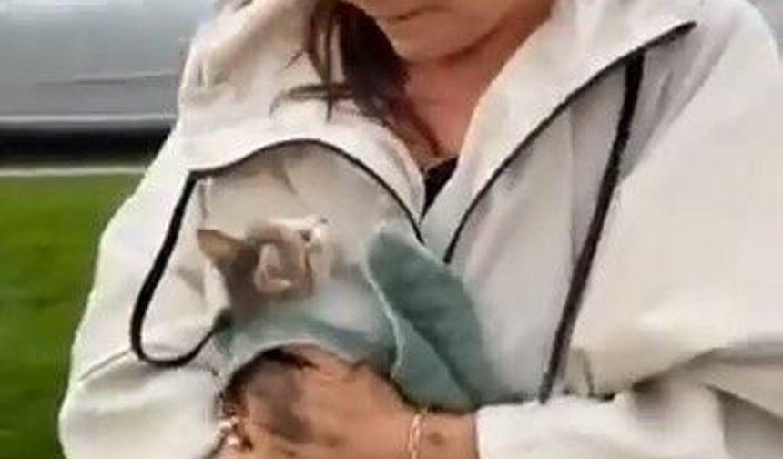 Yola atlayan kedi aracın tekerine sığındı, kurtarma anı kamerada