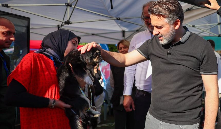 Büyükşehir'den can dostları için yuva seferberliği