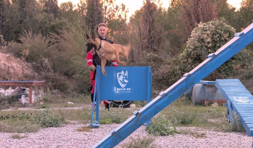 K9'lara hayat kurtaran eğitim